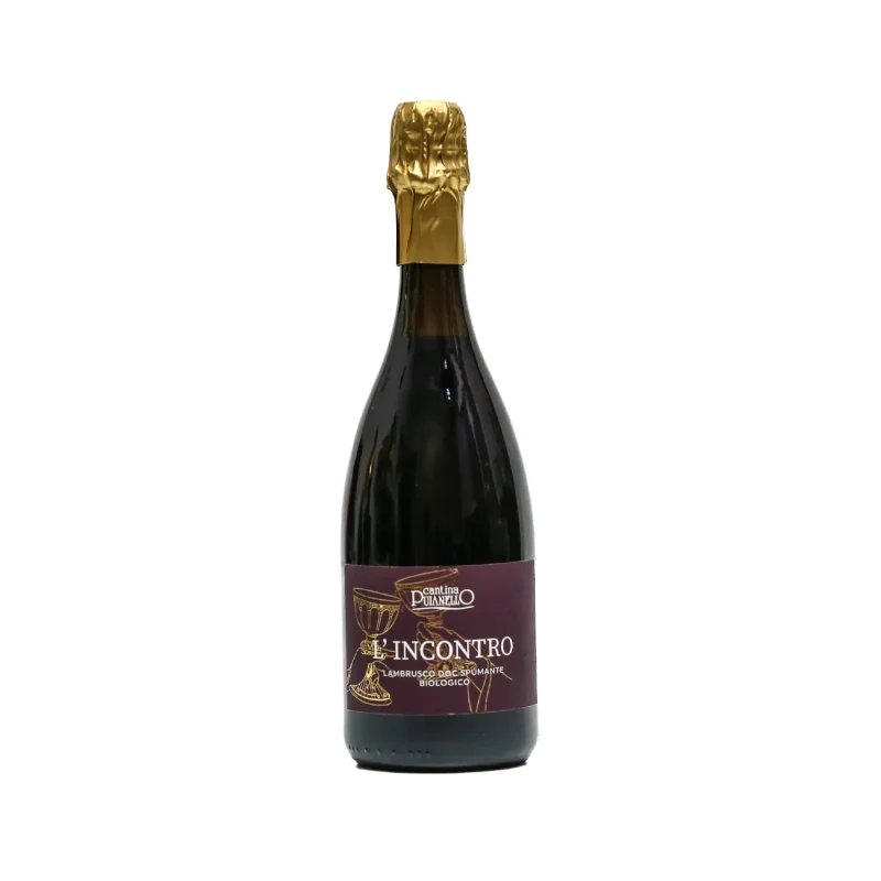 Lambrusco L’incontro – Cantine Puianello